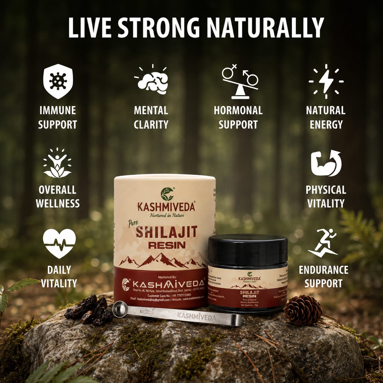 Shilajit Resin