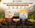 Shilajit resin and shilajit gummes combo