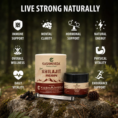 Kashmiveda Pure Himalayan Shilajit Resin – 40grams